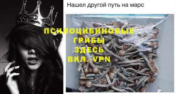 первитин Сатка