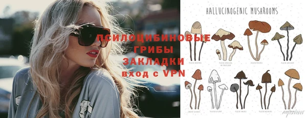 дмт Саяногорск